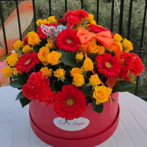 flower box gigante